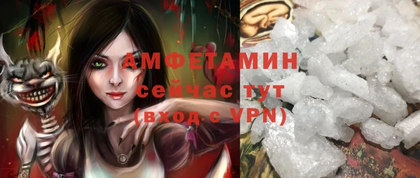 МДПВ Михайлов